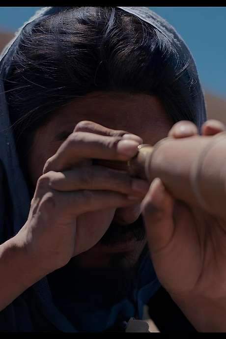 The Anatomy of the Horses